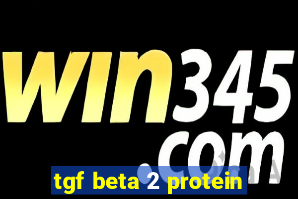 tgf beta 2 protein